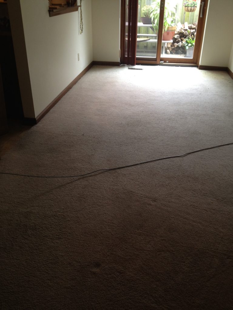 Huge Waves and Ripples in Carpet, Restretched by Indianapolis Carpet