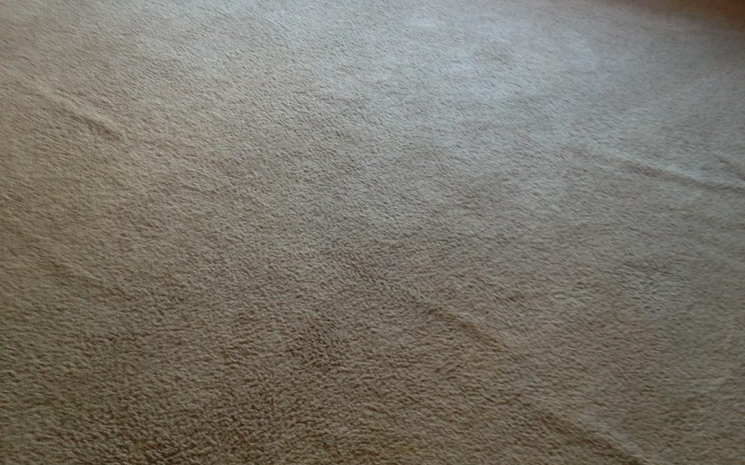 Indianapolis Carpet Repair Restretch