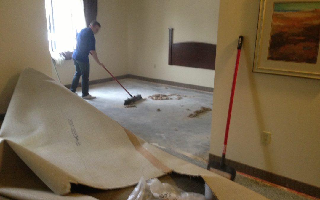 Pet Urine Carpet Repair in Carmel, IN