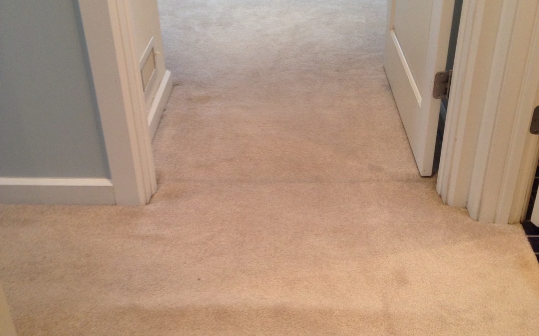 Complicated Carpet Restretch in Broad Ripple Village, Indianapolis.