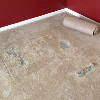 Big Dog in Fishers Tore Up Carpet Under Cage – Indianapolis Carpet Repair Fixed It Right Up
