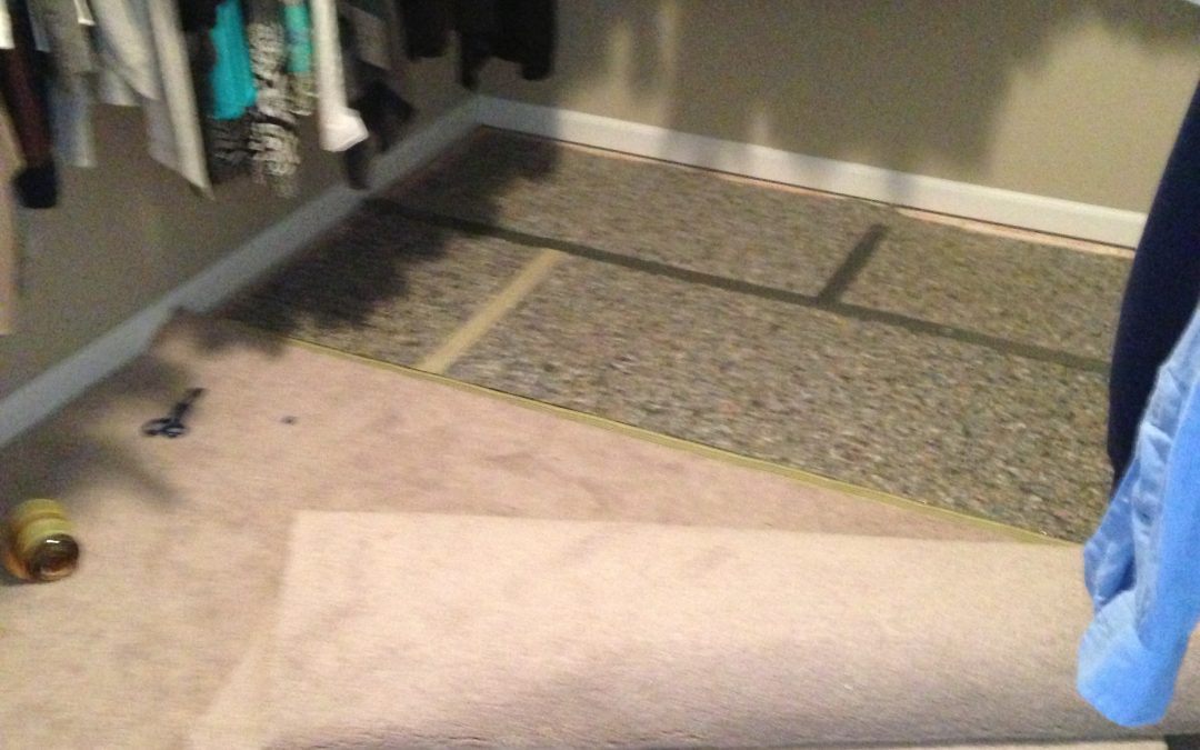 Cat Urine in Closet in Noblesville. Indianapolis Carpet Repair Gets to the Root of It!