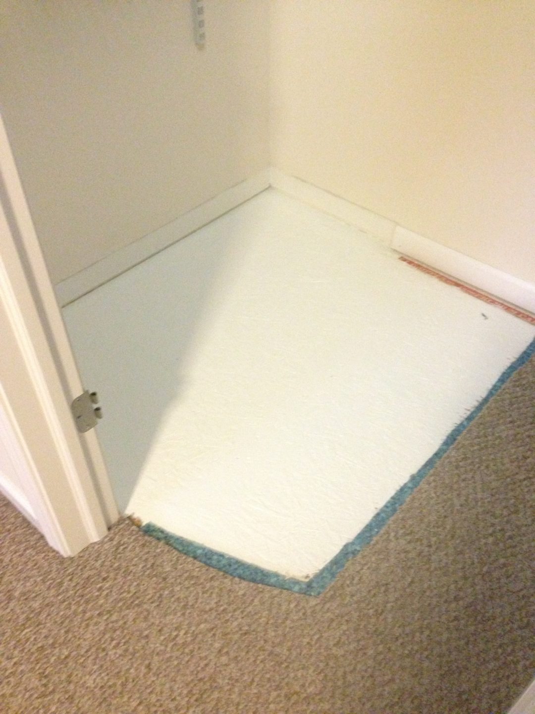 Cat Urine Stains Berber. Repaired by Indianapolis Carpet Repair Down to the Subfloor