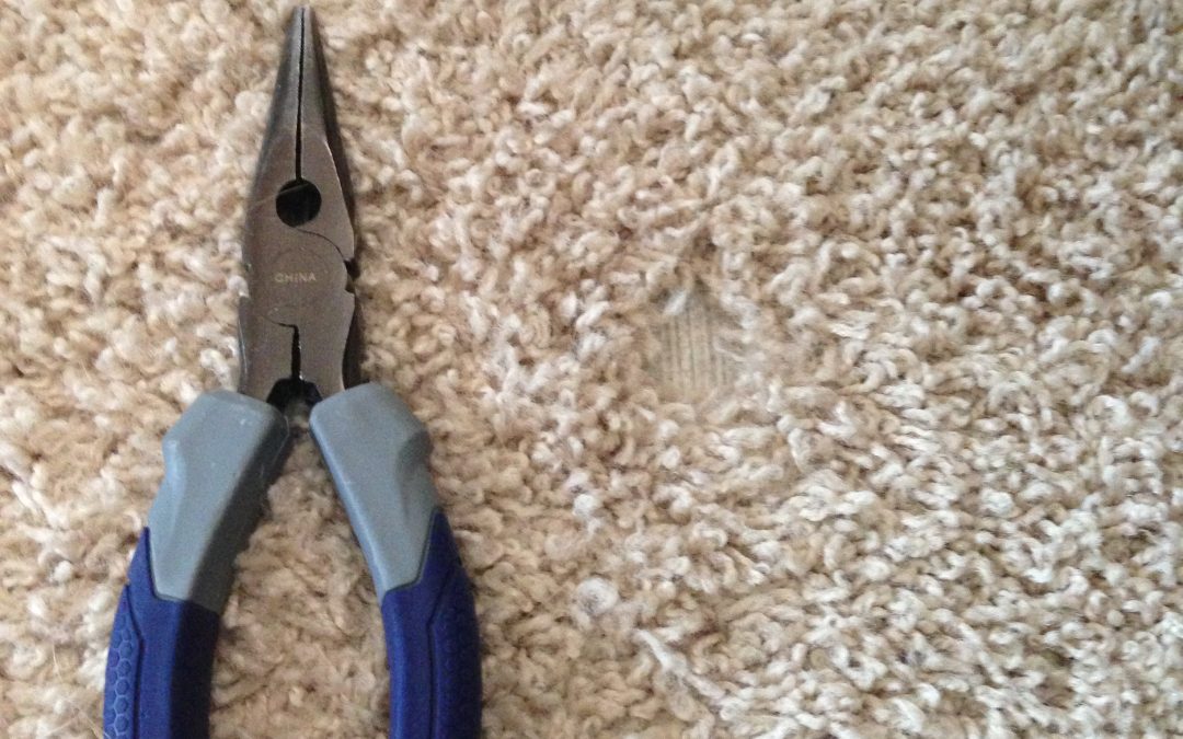 Shag Carpet Gets Chewed On…Indianapolis Carpet Repair Does Its Magic!