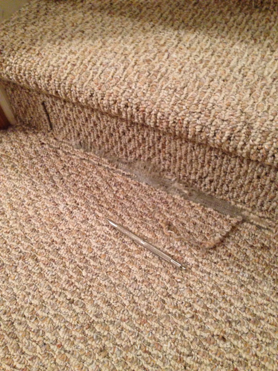 Berber Carpet in Zionsville Seriously Snagged…ICR the UNsnagger