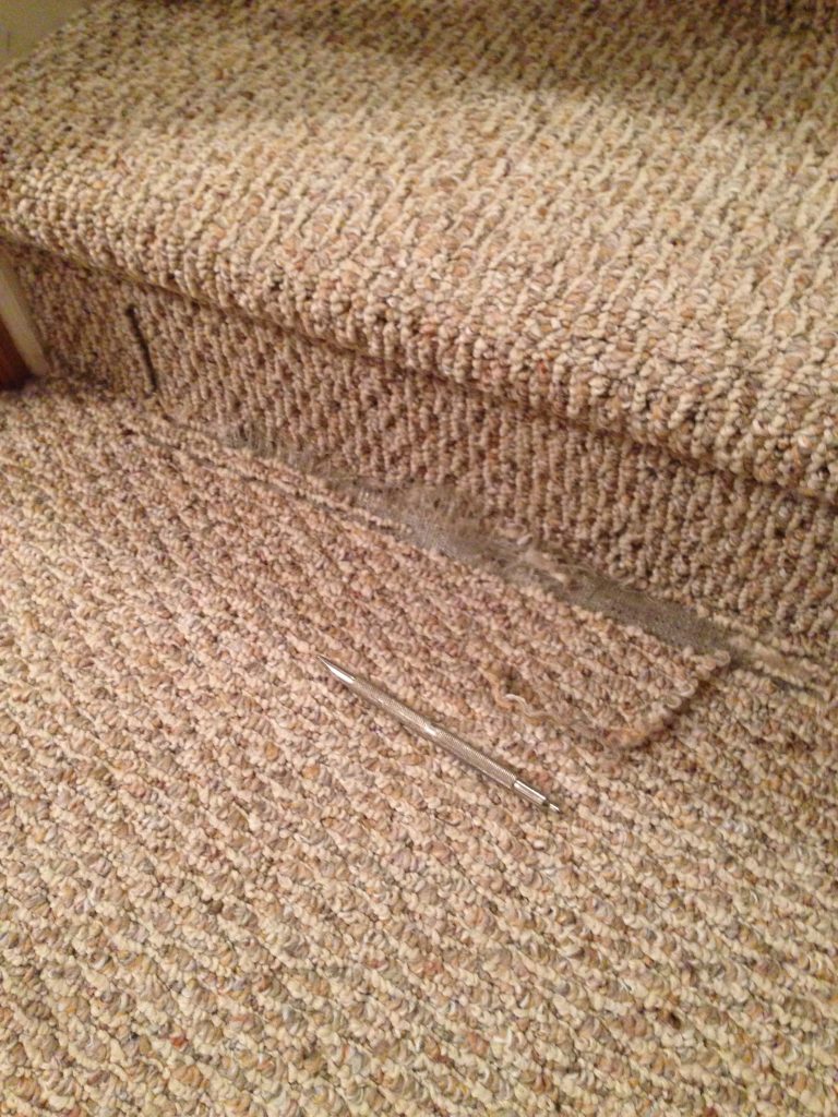 Berber Carpet in Zionsville Seriously Snagged…ICR the UNsnagger